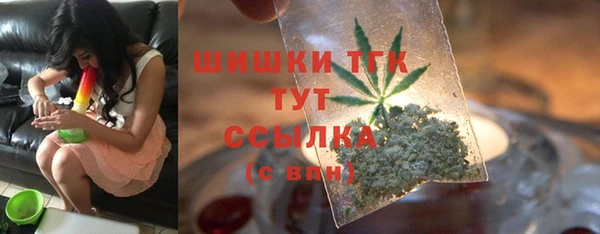 прущий лед Новозыбков