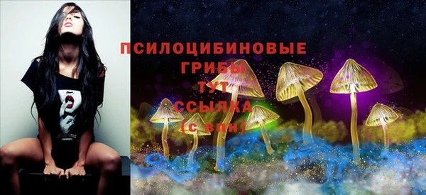 прущий лед Новозыбков