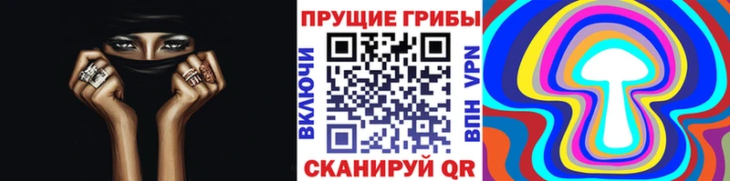 Псилоцибиновые грибы мицелий  Купить  Андреаполь 